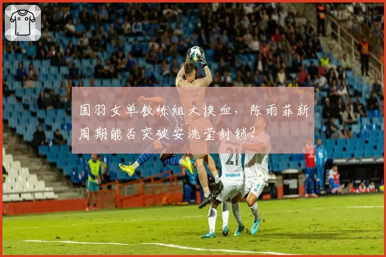 国羽女单教练组大换血，陈雨菲新周期能否突破安洗莹封锁？