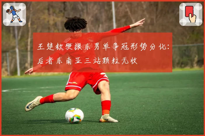 王楚钦樊振东男单争冠形势分化:后者东南亚三站颗粒无收