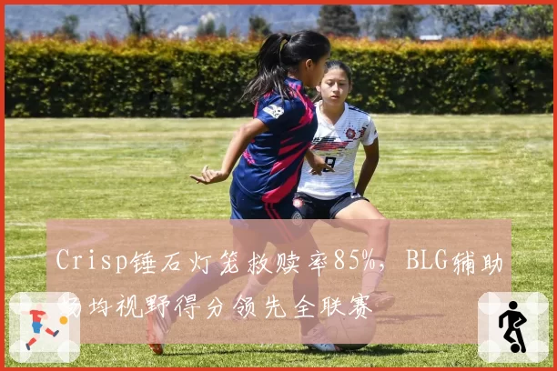 Crisp锤石灯笼救赎率85%,BLG辅助场均视野得分领先全联赛