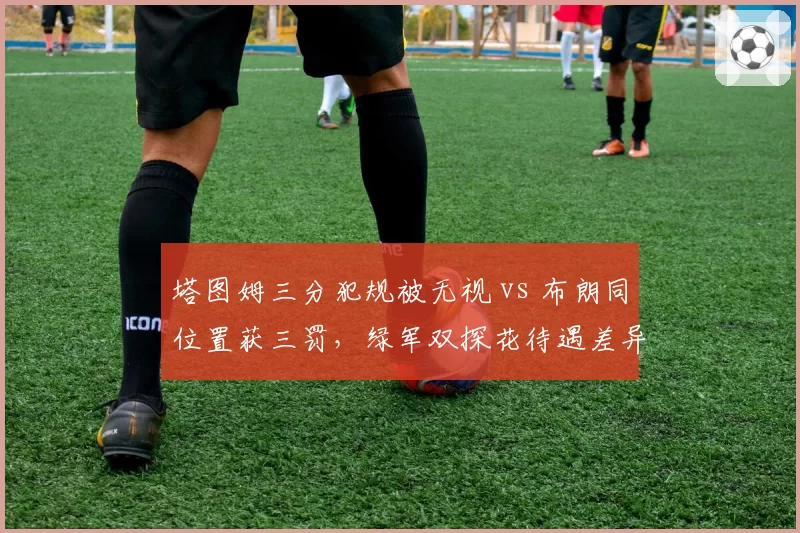 塔图姆三分犯规被无视 vs 布朗同位置获三罚,绿军双探花待遇差异引内部不满